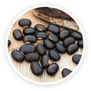 Mucuna pruriens and maca root