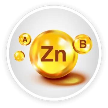 Vitamin A, B vitamins and zinc